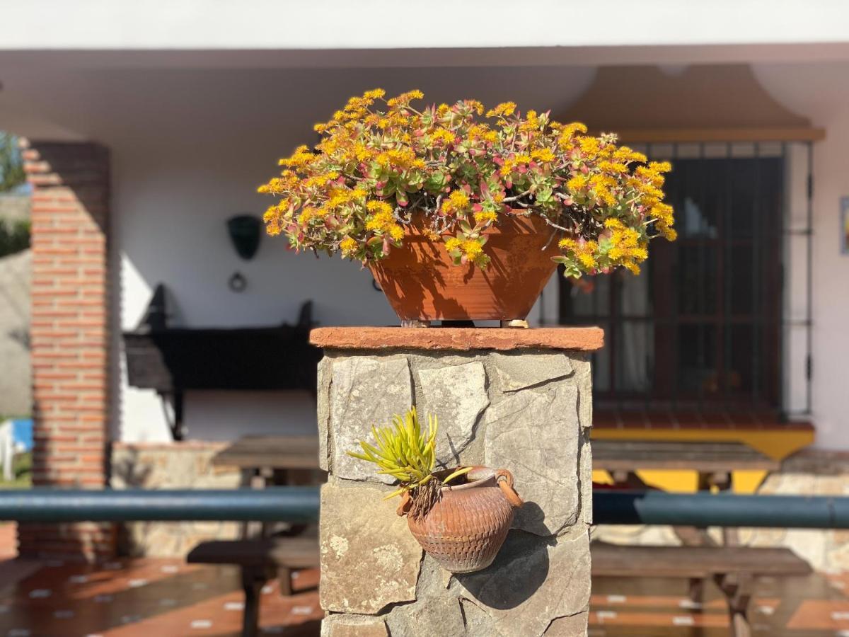Country house Casas Guemon Zahora